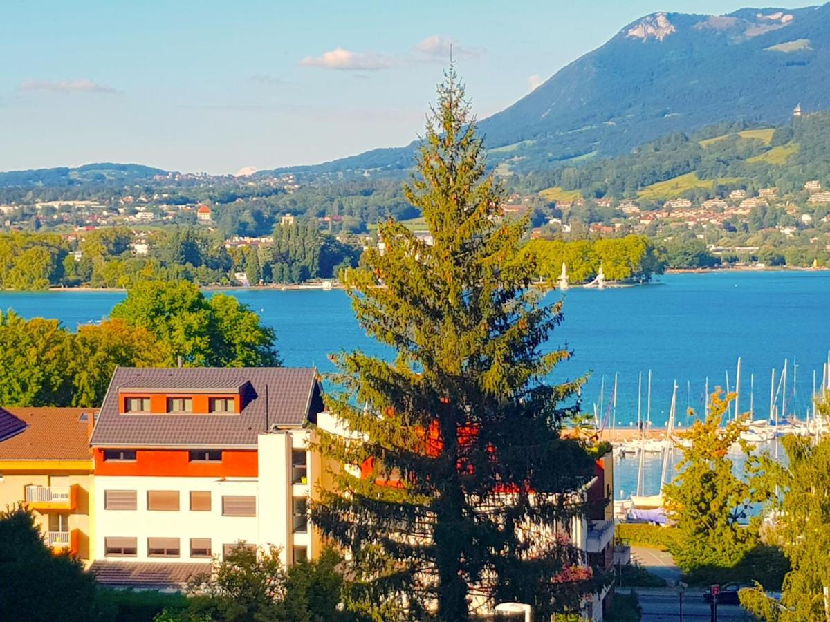 Corniche Joli T2 A 300 M Du Lac Avec Parking Prive Annecy Buitenkant foto